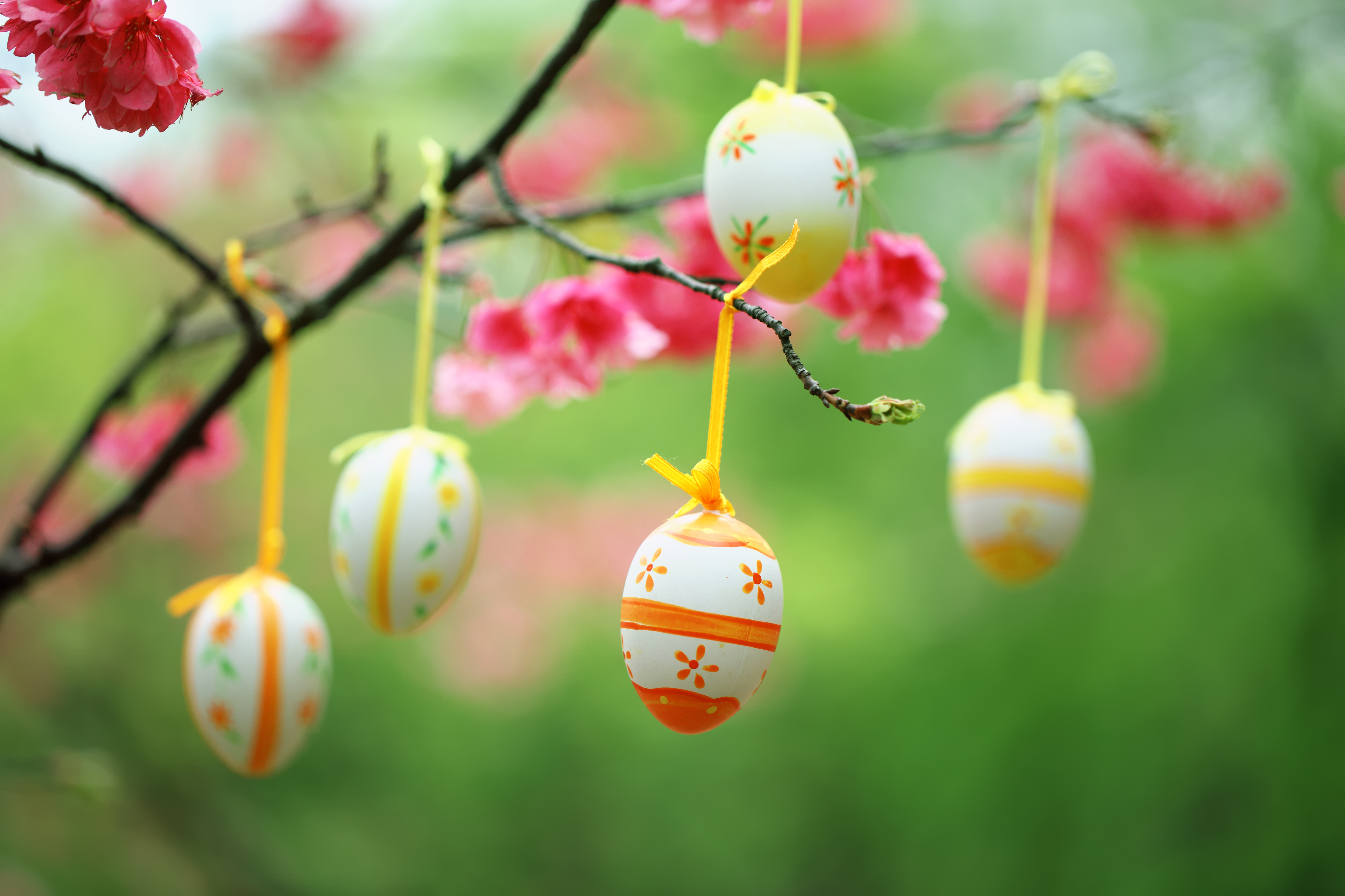AdobeStock_39787359.jpeg