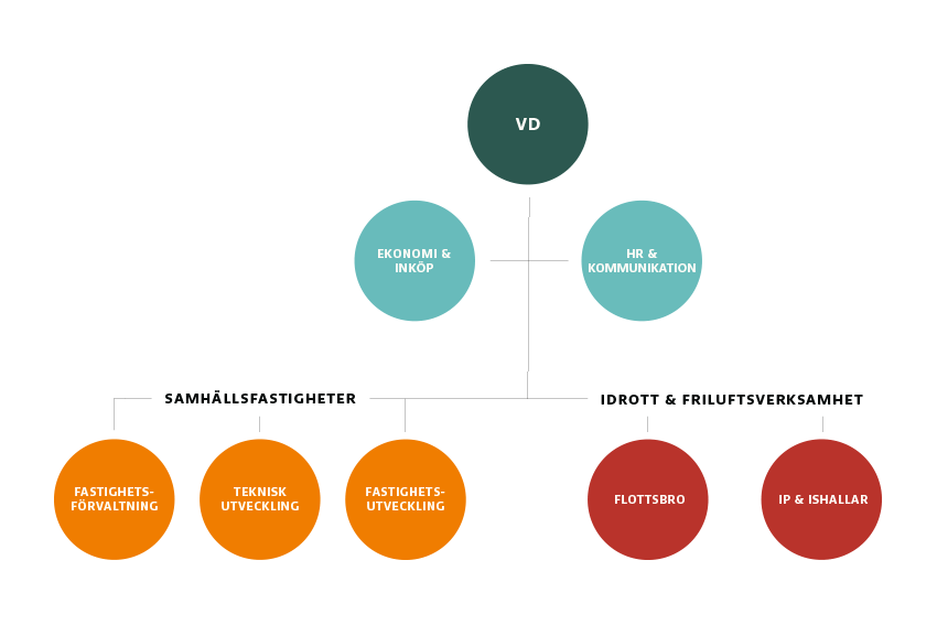 org schema_2020.png